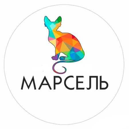 � ���������